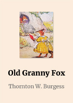 Old Granny Fox